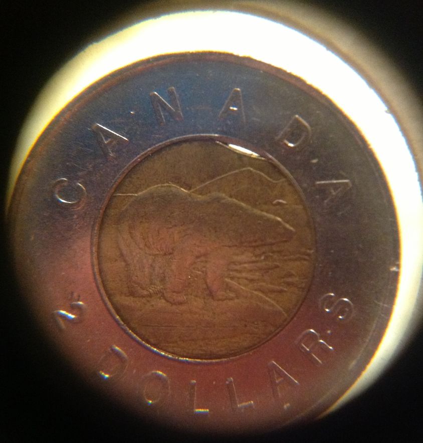 Toonie-With-Center-Planchet-Clip